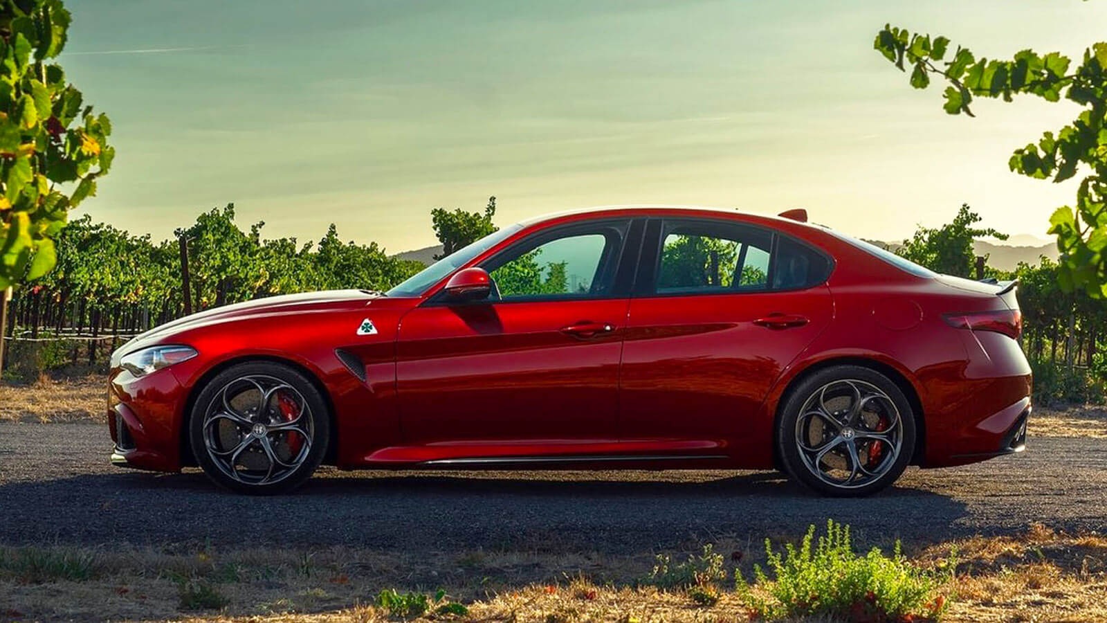 Alfa Romeo Giulia Quadrifoglio - imagine 3