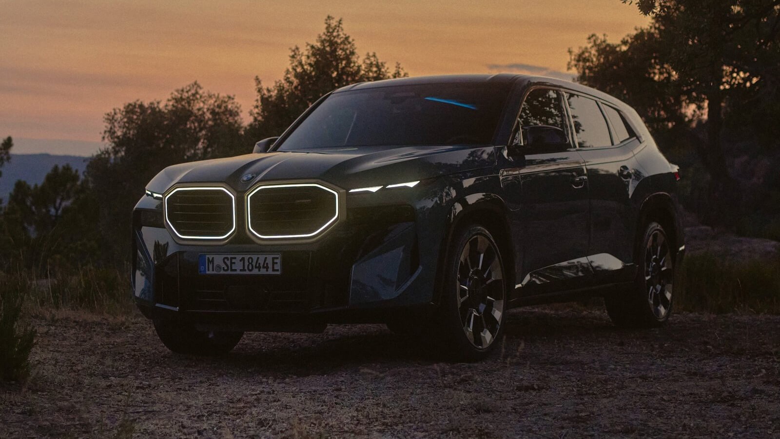 BMW XM Label - imagine 5