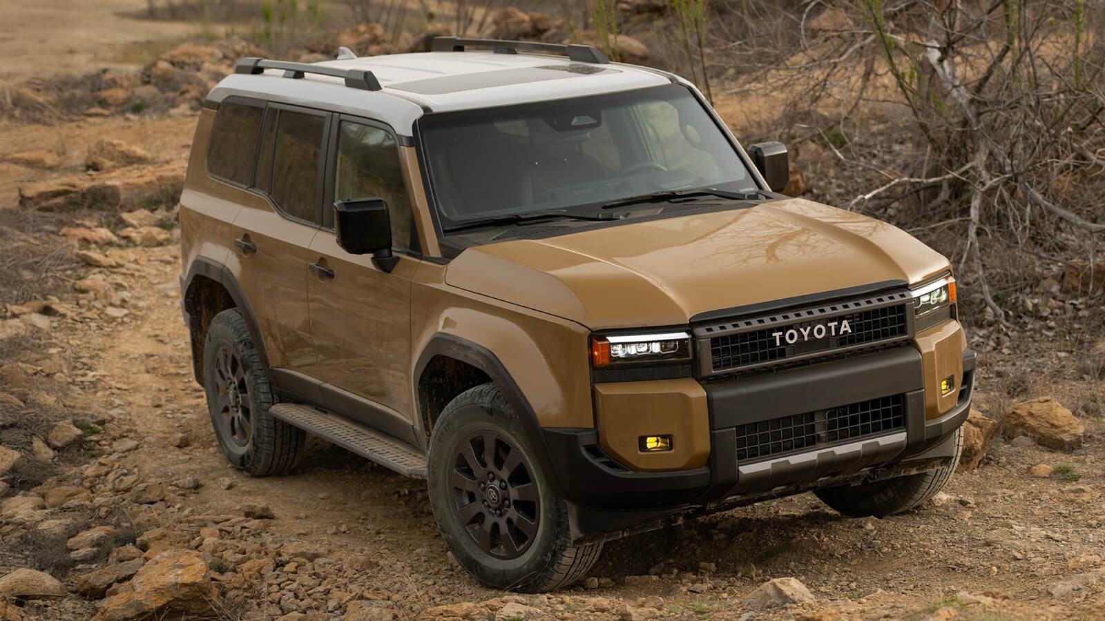 Toyota Land Cruiser - imagine 2