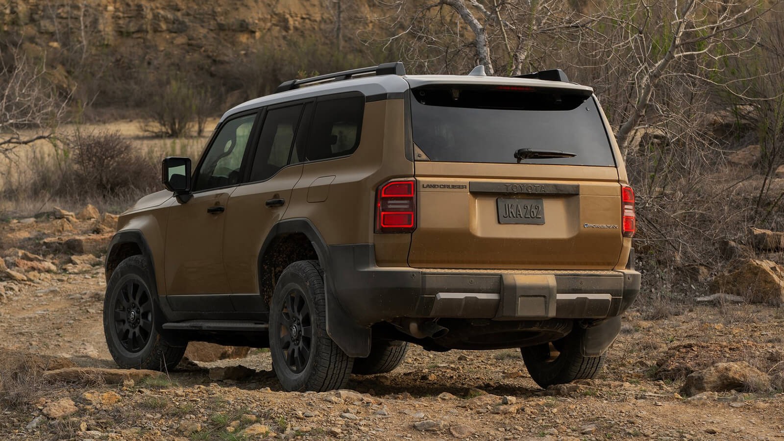 Toyota Land Cruiser - imagine 4