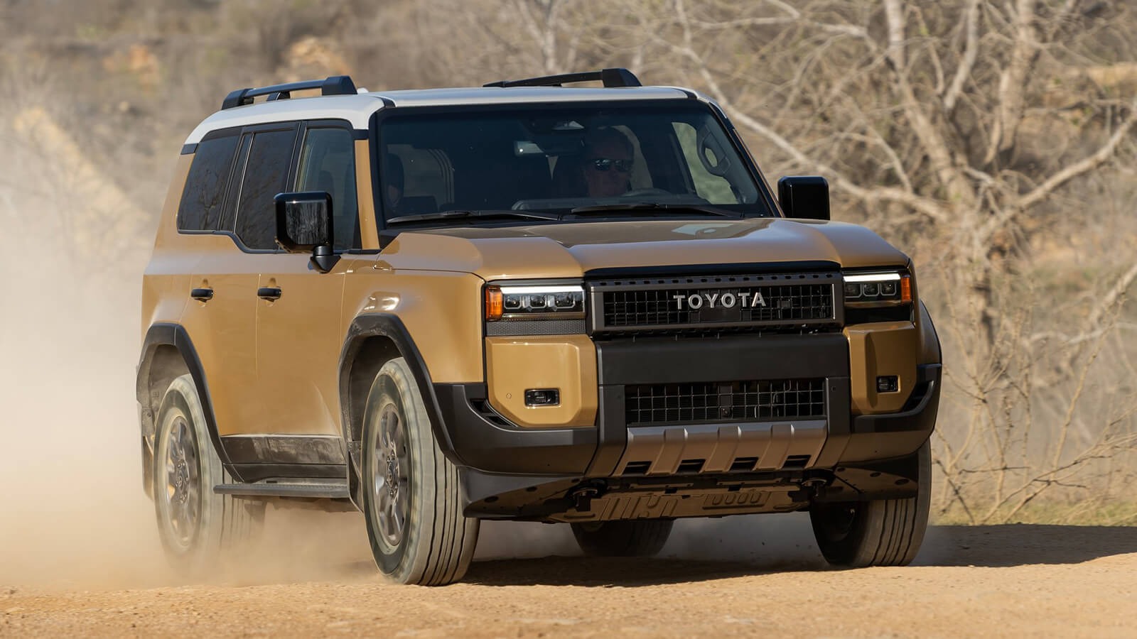 Toyota Land Cruiser - imagine 5