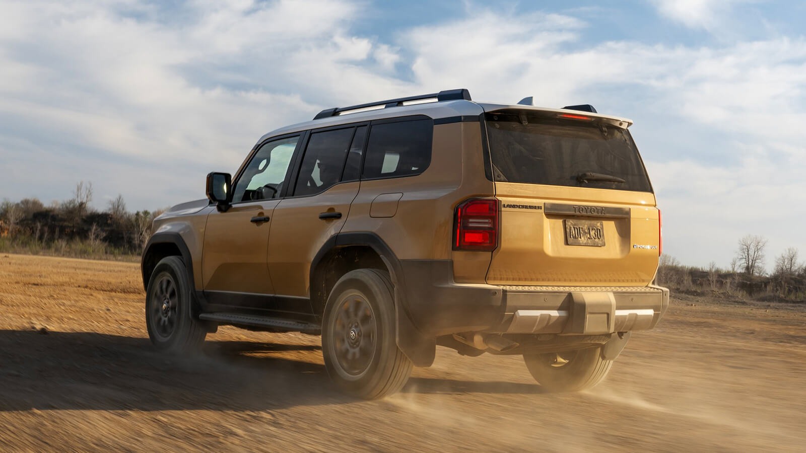 Toyota Land Cruiser - imagine 6